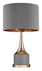 Small Cone Neck 19" H Table Lamp with Drum Shade: 