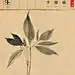 针灸匠张宝旬：传播那么久的中医小窍门，这还不是中医大学问，就是为了告诉大家，中医不好是我们中医医生学艺不精，对中医有意见是因为中医的普及工作做的太差。我是临床医生，蜀中无大将，廖化成先锋，赶鸭子上架，做的不好之处，请大家海涵。这么好的中医，可不能让那些无知的人把他废了。我转的一张图，中医太美。