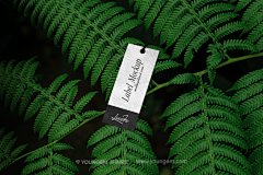 31款户外自然植物服装名片纸杯产品包装单页海报VI应用ps样机素材下载_颜格视觉