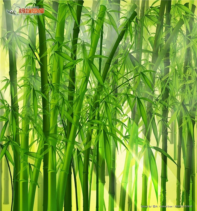 竹子图片素材