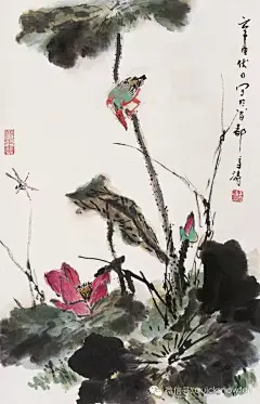 清新秀丽情趣盎然：王雪涛写意荷花作品