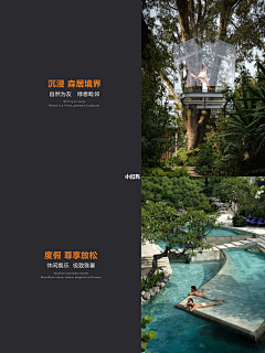 1005d采集到理念