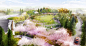 Mikyoung Kim Design - Chicago Botanic GardenMikyoung Kim Design - Landscape Architecture, Urban Planning, Site Art