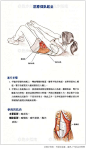 【屈膝仰卧起坐】对一名跑者而言，腹肌是非常重要的核心肌肉。没有足够有力的腹肌将无法有效支撑人体的背部。如果在跑动过程中，你的腹肌无法撑起你的上半身，那么跑步过程将会变得非常痛苦而且充满困难。同时，这个运动有助于保护腹部与下肢之间的连接部位，增强膝盖抬高的力量。