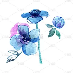 可爱的水彩手绘蓝色花朵。的邀请。婚礼卡片。生日贺卡
