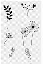 线条画手绘植物素材