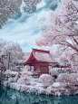 Infrared Photography of Dazaifu.
