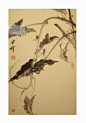 2012照片 023.jpg
