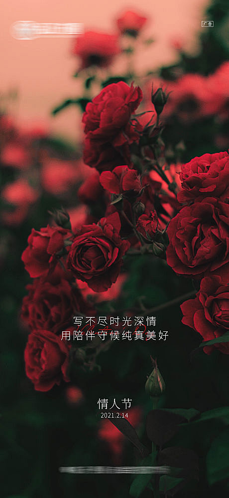 七夕情人节海报