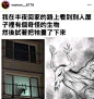 无聊图 - 蛋友贴图专版