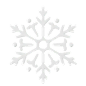 Snowflake  3D Icon