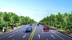 典尚设计市政三维采集到道路绿化效果图