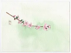 一组花卉 | 小刺猬1 - 原创作品 - 涂鸦王国插画