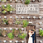 WeddingWire (@weddingwire)的Instagram主页 | Tofo.me: Instagram网页版