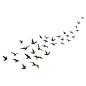 Wall Decal - Flock of Birds #organizedotcom #dreamdorm