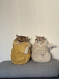 一口一个小猫粽 - 小红书