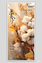 中国传统节气寒露棉花手机海报