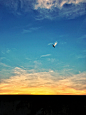 【夕阳】