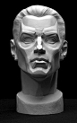 Male Planes Head Artist's Reference Cast