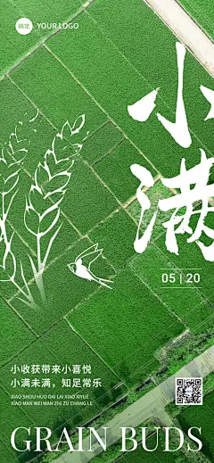 企业小满节气祝福肌理实景插画风全屏竖版海报