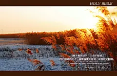 【Christian’s style】圣经金句经文壁纸1-40_看图_青年团契吧_百度贴吧