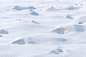 雪地