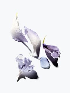 绒绒苏采集到繁花