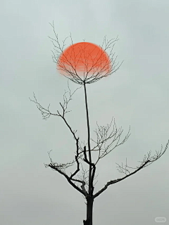 用户6PODFbXU采集到心之所向