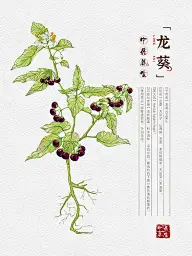 素材