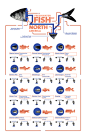 #U发现# 这是一张作者为Joe Haddad的介绍北美淡水鱼及其属性的infographic。请感受。