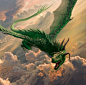 Flying Dragon by Entar0178