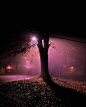 Devin Lunsford Photography - 当代艺术 - CNU视觉联盟