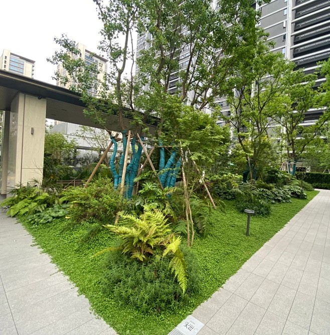 景观案例｜杂木乌桕林下地被搭配_9_植物学社_来自小红书网页版 (1)