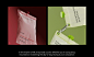 Wellness branding branding  fitness branding Food Packaging wellness p