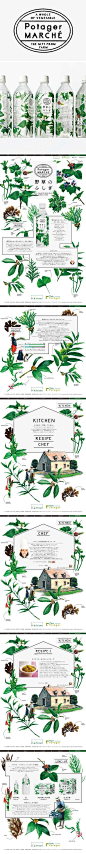 Potager Marche. DESIGN | RIKAKO NAGASHIMA so fab identity, packaging, branding PD: 