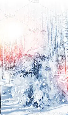 冰雪覆盖的树木。