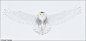 Daniel Cadieux在 500px 上的照片Snowy Owl Full Wingspread Pano