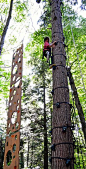 tree climbing obstacle course 2 - Arbor Trek Smugglers Notch, Vermont