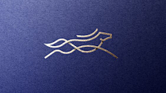 55、采集到logo诠释