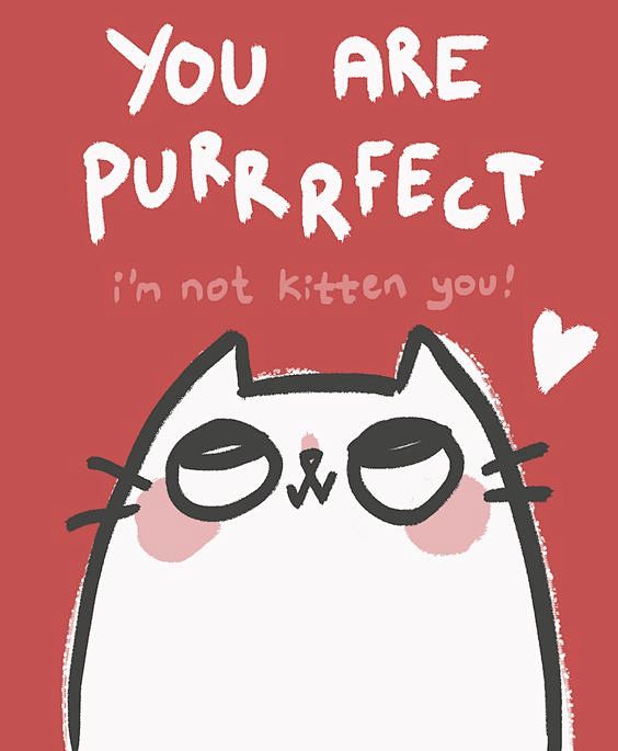 (12) Pinterest