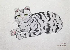 无奈,#水彩#，#猫咪#，#插画#，#手绘#