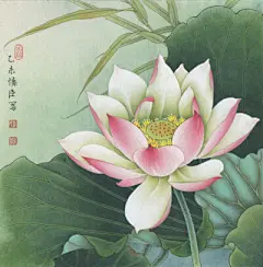 国画、工笔画 - 堆糖，美图壁纸兴趣社区