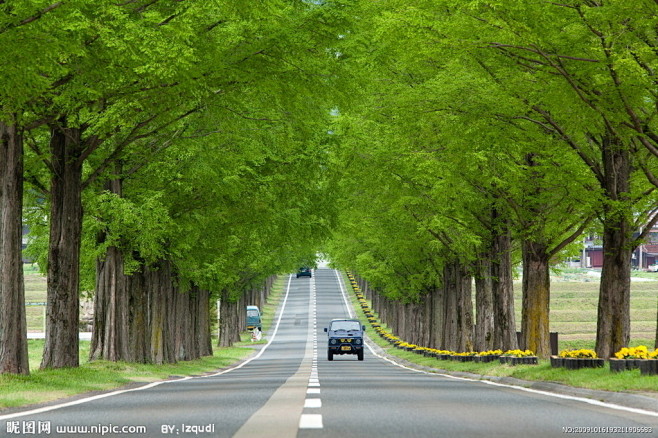 林荫大道