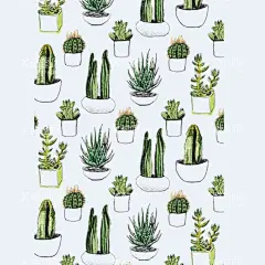 png格式植物花卉手绘素材  - 源文件下载【酷图网】插画,卡通,花型,手绘,盆栽,植物,花卉,素材,插图,花朵,仙人掌,