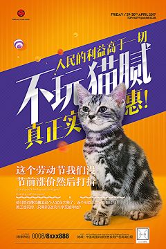 猫柒~采集到H5