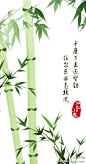 绿竹如箦