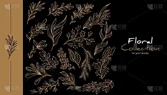 手绘矢量元素的大集合。为邀请，目录，贺卡，格言，博客，纪念品，婚礼框架，海报，小册子
