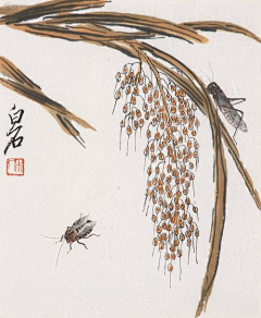 huiwang2333采集到齐白石