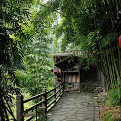 竹林圍繞的村舍