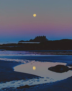 Romantsakura采集到Moon【月亮】